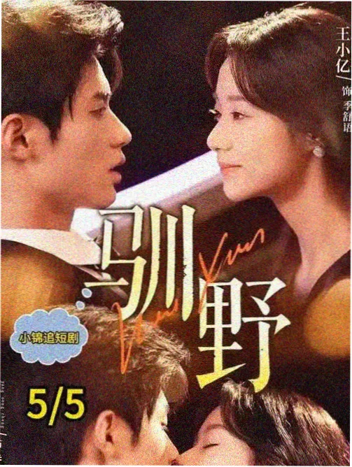 铁轨以南 中文字幕在线播放